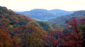 Williamson County TN Real Estate, Williamson County TN Short Sales